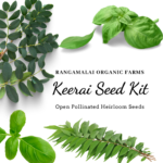 Essential Micro Greens (Keerai) Seed Kit - Pack of 19 varieties