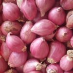 Small Onion (Shallot) Seeds