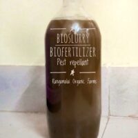 Bio-Fertilzer – Enriched BioSlurry, 1L