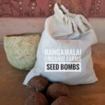 Seed Balls Gift Pack - Making Our Plant Greener