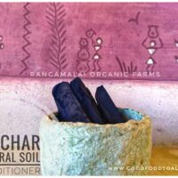 Biochar – Natural Soil Conditioner