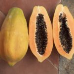 Papaya Native Variety - ROF