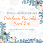 Heirloom Pumpkins Seed Kit  - Pack of 6 varieties