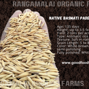 Native Paddy Seeds - Basmati (Aromatic Rice)