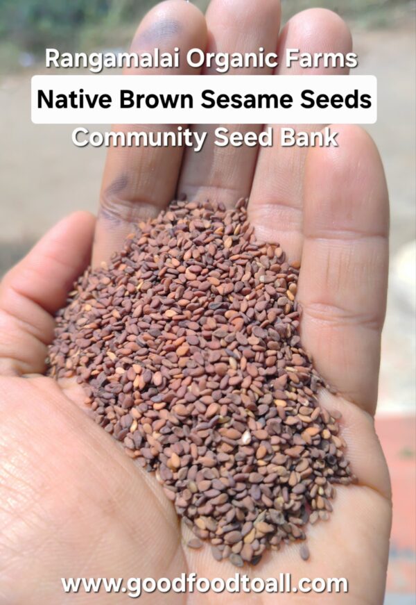 Native Brown Sesame Seeds