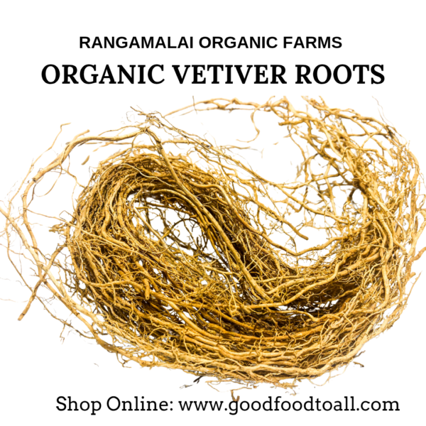 Vetiver Roots (VETIVERIA ZIZANIOIDES) 100% Pure & Naturally grown