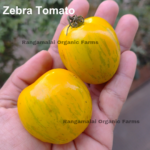 Zebra Tomato Seeds