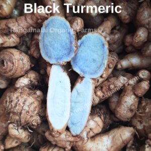 black turmeric