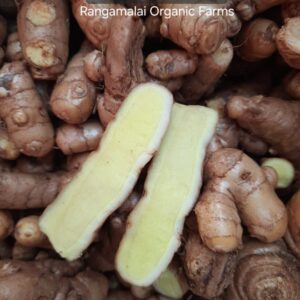 Kasturi Manjal | Haldi | Wild Turmeric – Turmeric Rhizome Seeds