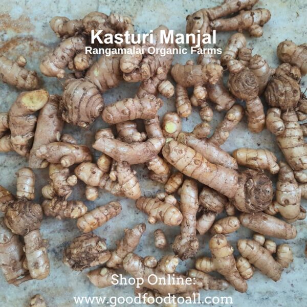 Turmeric Rhizome Seeds - Kasturi Manjal | Haldi | Wild Turmeric - Image 2