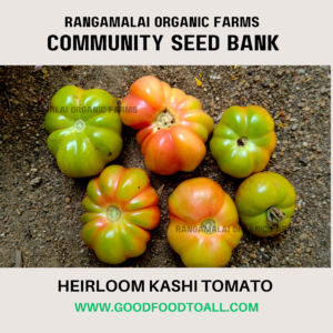 Kashi Tomato Seeds