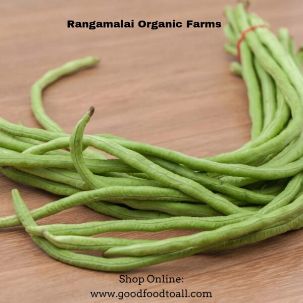 Yardlong bean seeds - Open pollinated Seeds