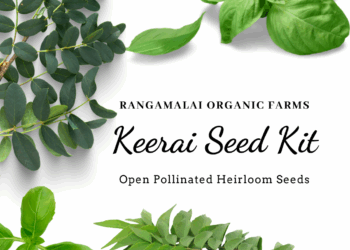 Essential Micro Greens (Keerai) Seed Kit – Pack of 19 varieties