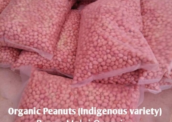 Farm Fresh Premium grade Organic Groundnut/Peanuts