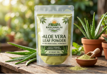 Organic Aloe Vera Powder (100% Pure) – Natural cleanser and conditioner