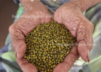 Native Green Gram | Moong Dal Seeds | 500g