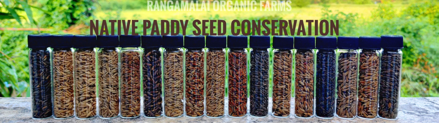 Diversified Native Paddy Seeds for 2026