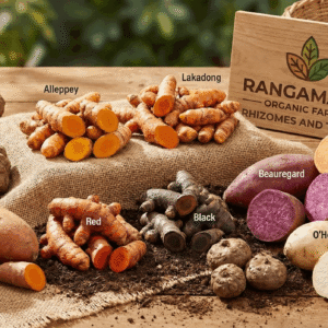 Rhizome/Tuber Seeds