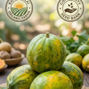 Native Papaya Round Seeds