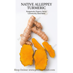 Alleppey Native Turmeric Rhizome Seeds