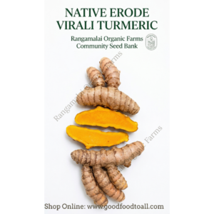 Native Erode Virali Turmeric Rhizome Seeds | GI Tagged Virali Turmeric