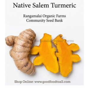 Salem Local turmeric