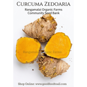 kasturi Yellow rhizome