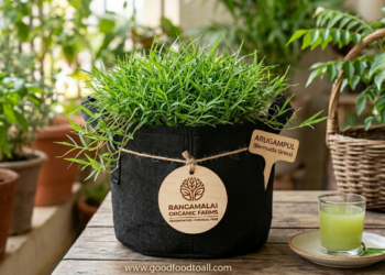 ​Arugampul Live Plant – The Sacred “Green Blood” for Urban Wellness