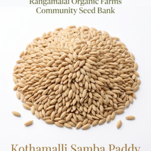 Kothamalli Samba Paddy Seeds.