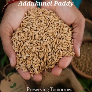 Adukku Nel Paddy Seeds (White Rice)