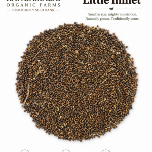 Black little millet seeds
