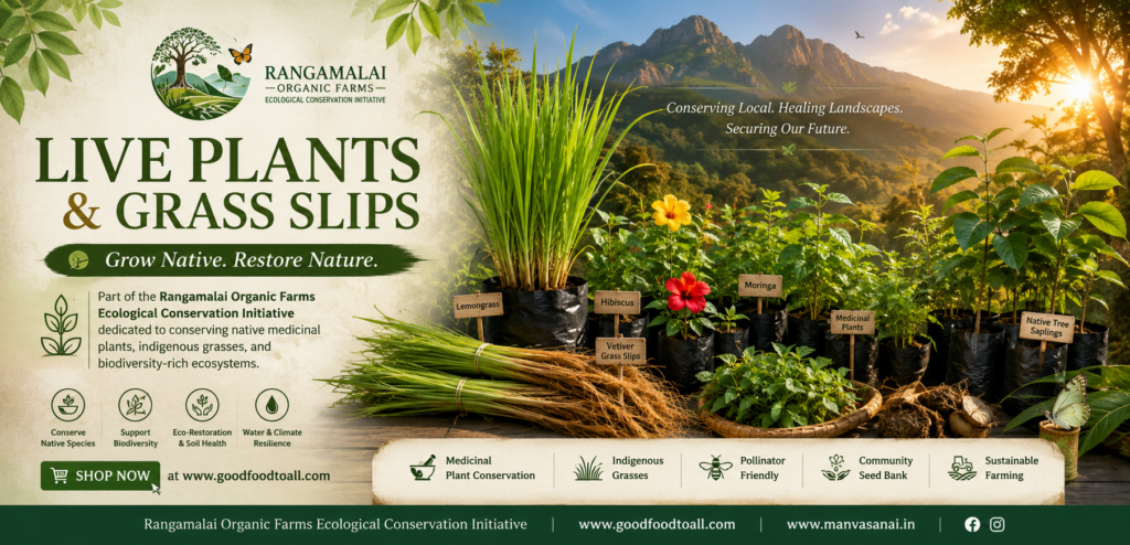 live plants and grass slips