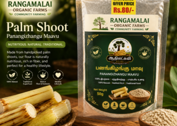 Palm Shoot Powder | Panakizhangu powder Superfood