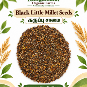 Black Little Millet Seeds | Karuppu Samai Seeds | ROF Community Seed Bank